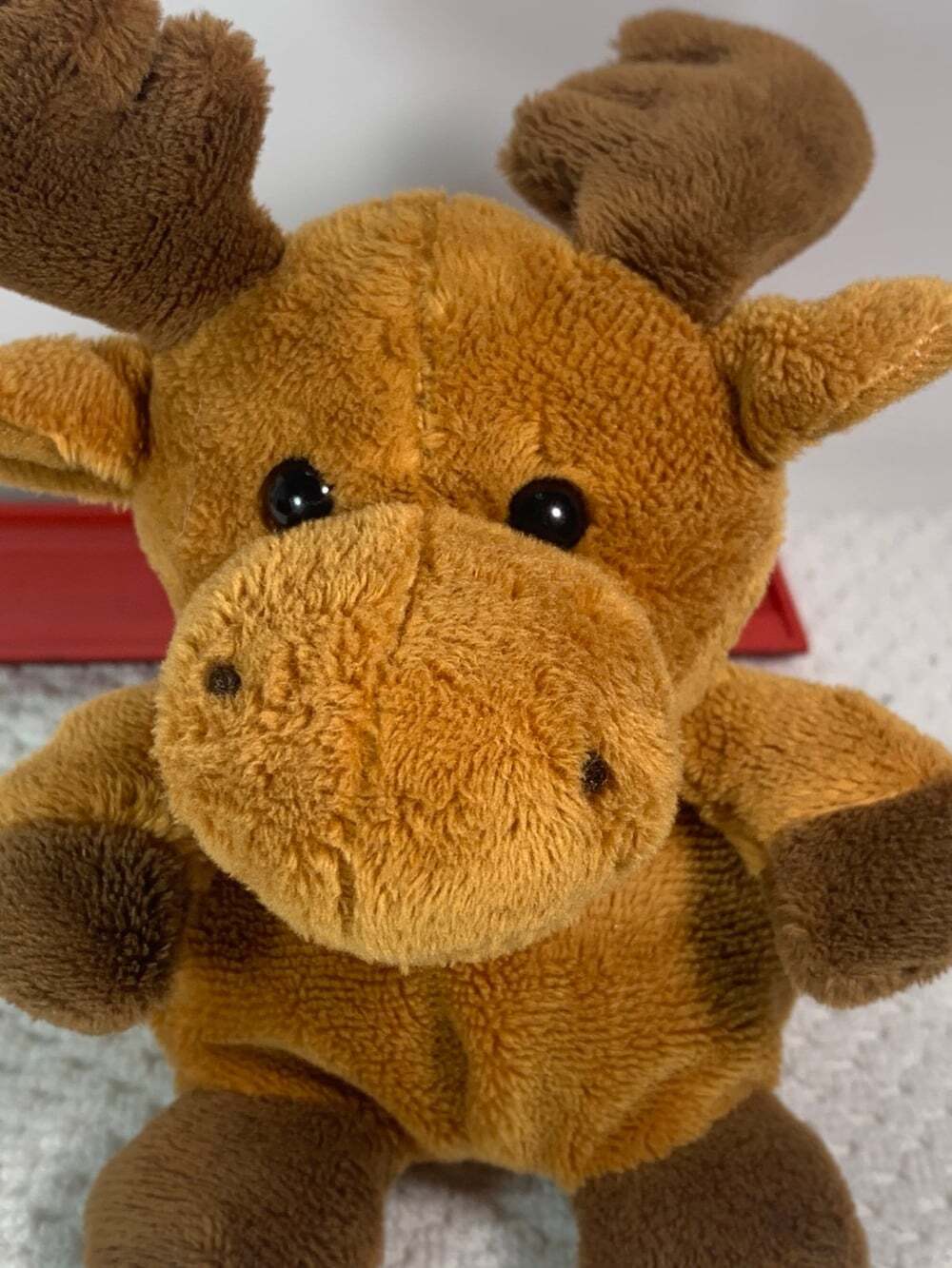Adventure Plant Little Moose